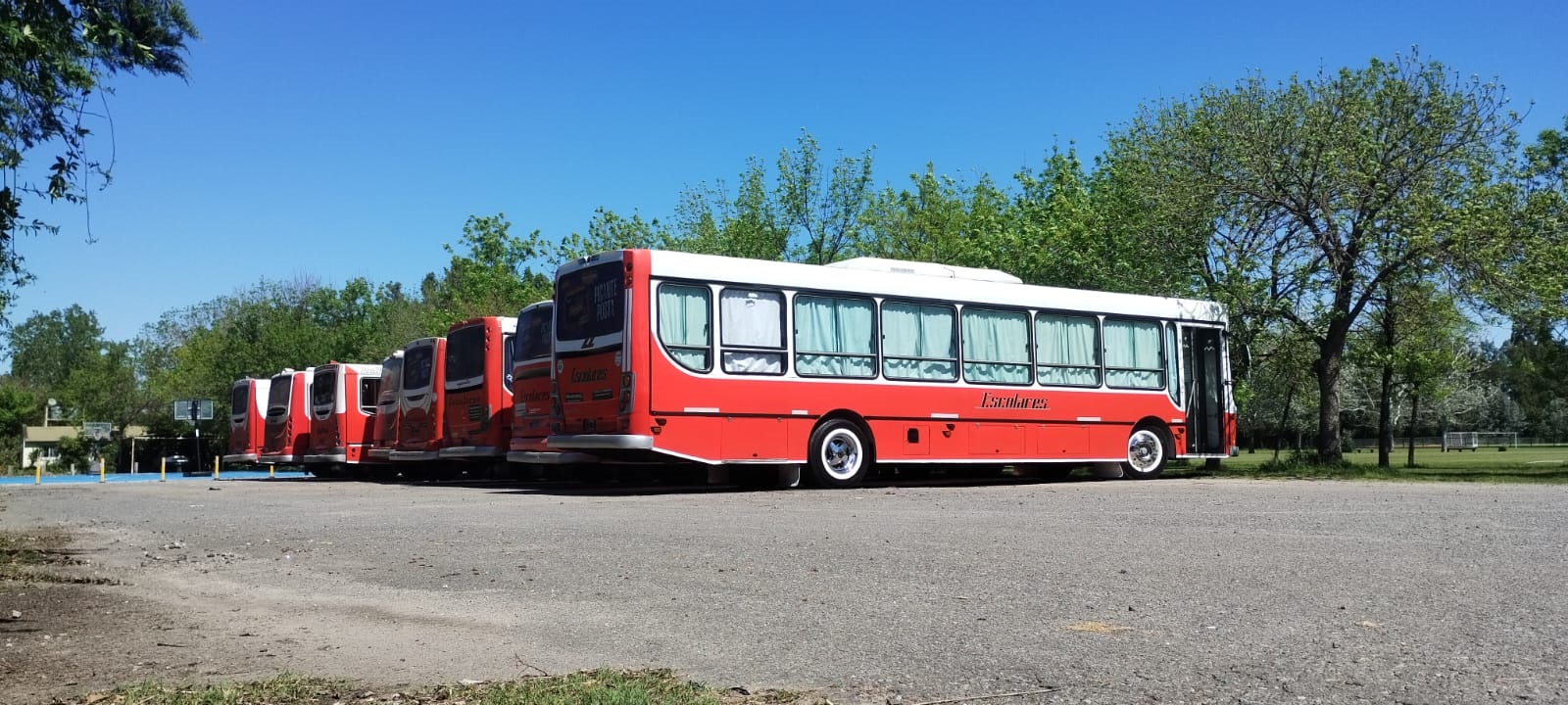 Micro Leibus 5
